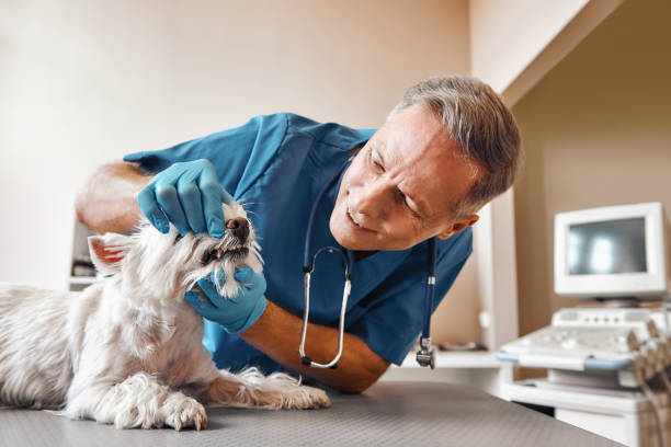 Best Broken or Cracked Tooth Emergency Dentist in Central High, OK